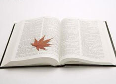 雷霆绝杀国王，终结三连败赢得一场胜利