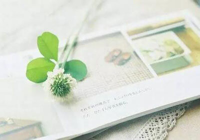 人重燃斗志击败黄蜂，终结两连败